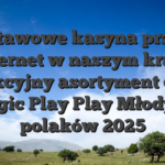 Ustawowe kasyna przez internet w naszym kraju Perfekcyjny asortyment dla 5x magic Play Play Młodych polaków 2025