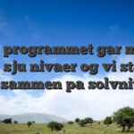 VIP programmet gar more than sju nivaer og vi starter alle sammen pa solvnivaet