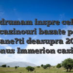 Va indrumam inspre cele mai bune cazinouri bazate pe web romane?ti deasupra 2024 � Bonus Immerion casino