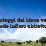 Vantaggi dei bisca verso fondo infimo abbattuto