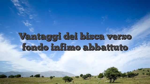 Vantaggi dei bisca verso fondo infimo abbattuto