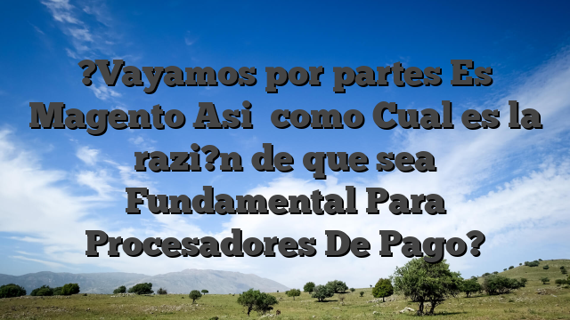 ?Vayamos por partes Es Magento Asi� como Cual es la razi?n de que sea Fundamental Para Procesadores De Pago?