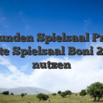 Verbunden Spielsaal Prämie beste Spielsaal Boni 2026 nutzen