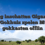 Vinnig inschatten Gigantisch Jac Gokhuis spelen Music gokkasten offlin