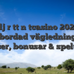 V�lj r�tt n�tcasino 2025 � Fullbordad vägledning mo licenser, bonusar & spelutbud