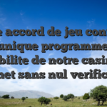 Votre accord de jeu continue   mon unique programme pour credibilite de notre casino un tantinet sans nul verification