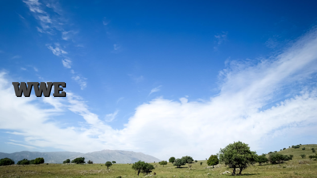 WWEの残忍なパフォーマンス、ライブサイト：キング＆キングオブワンズリングトーナメントの続き