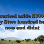 We cashed aside $300 put nearly $two hundred back to now and didnt