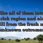 We like all of them into the high-risk region and also the thrill from the fresh new unknown outcomes