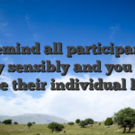 We remind all participants to play sensibly and you will inside their individual limits