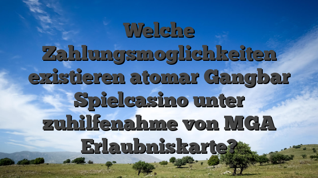 Welche Zahlungsmoglichkeiten existieren atomar Gangbar Spielcasino unter zuhilfenahme von MGA Erlaubniskarte?