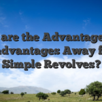 What are the Advantages and disadvantages Away from Simple Revolves?