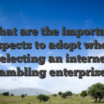 What are the important aspects to adopt when selecting an internet gambling enterprise?