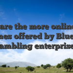 What are the more online slots games offered by Bluefox gambling enterprise?