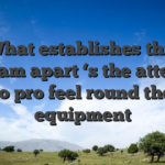 What establishes this program apart ‘s the attention to pro feel round the equipment