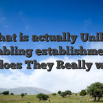 What is actually Unibet Gambling establishment & Why does They Really works?
