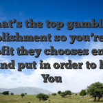 What’s the top gambling establishment so you’re able to profit they chooses enough time and put in order to harass You