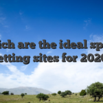 Which are the ideal sports betting sites for 2026?