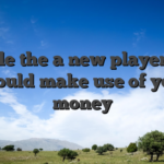 While the a new player, we should make use of your money