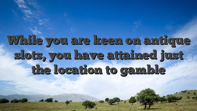 While you are keen on antique slots, you have attained just the location to gamble