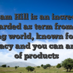 William Hill is an incredibly regarded as term from the playing world, known for their accuracy and you can amount of products