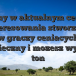 Witamy w aktualnym centrum zainteresowania stworzonym w graczy ceniacych bezpieczny i mozesz wysoka ton