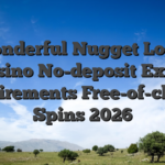 Wonderful Nugget Local casino No-deposit Extra Requirements Free-of-charge Spins 2026