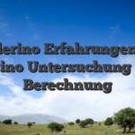 Wunderino Erfahrungen 2026 Kasino Untersuchung qua Berechnung