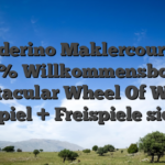 Wunderino Maklercourtage: 400% Willkommensbonus Spectacular Wheel Of Wealth Slotspiel + Freispiele sichern