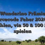 Wunderino Prämie Sourcecode Feber 2026: 10 einzahlen, via 50 & 100 Spins spielen