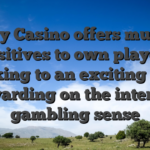 Yabby Casino offers multiple positives to own players looking to an exciting and rewarding on the internet gambling sense