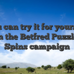 You can try it for yourself within the Betfred Puzzle Free Spins campaign