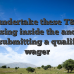 Your undertake these T&Cs by choosing inside the and you will submitting a qualifying wager