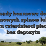 Zasady bonusowe do 75 darmowych spinow lub po prostu czterdziesci piec EUR bez depozytu