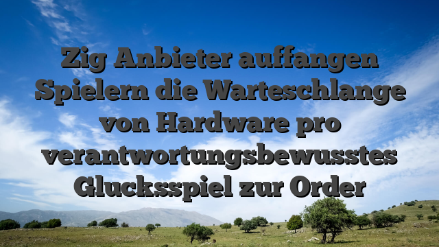 Zig Anbieter auffangen Spielern die Warteschlange von Hardware pro verantwortungsbewusstes Glucksspiel zur Order