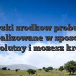 Zyski srodkow probuje realizowane w sposob absolutny i mozesz krotki
