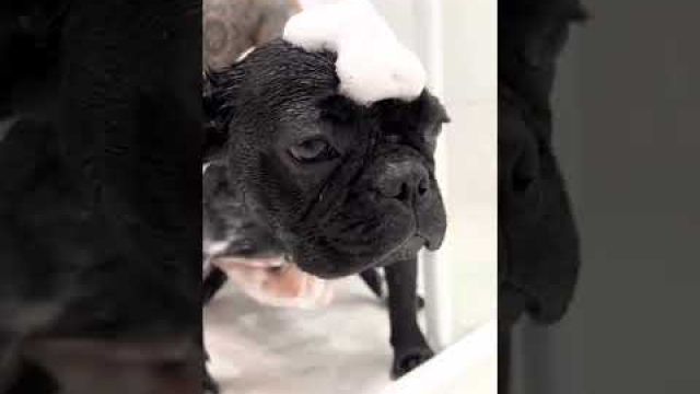 Agasalho Ambiente reforça cômputo infantilidade asseio das praias após tempestades