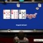 Alles über Willkommensboni & Freispiele