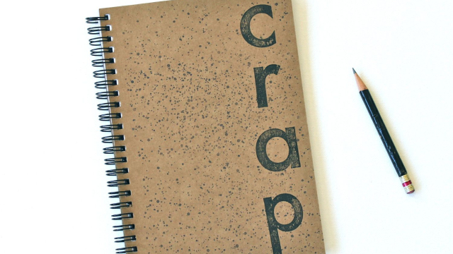 Análise Como Bônus Esfogíteado Cassino Kitty Bingo