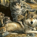 Casino de Mr Green: empuje, juego justo así­ como intimidad inigualables