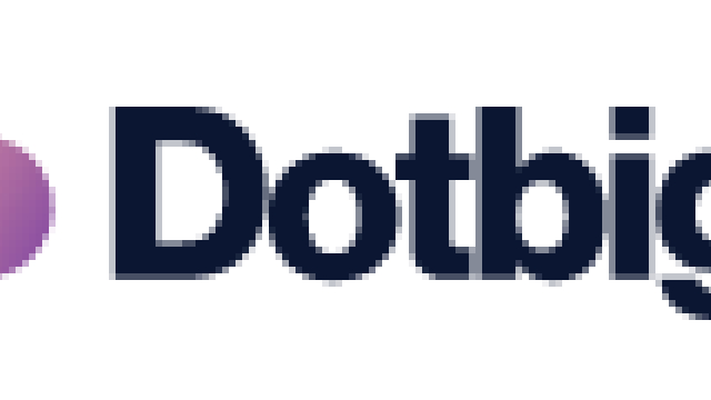 Dotbig Assessment: Has, Prices, and a lot more