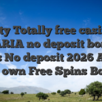 fifty Totally free casino MARIA no deposit bonus Spins No deposit 2026 Allege Your own Free Spins Bonus!