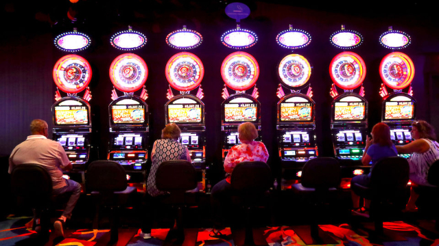 Finest a hundred Free Spins No divine forest slot machine deposit Bonuses to own 2026