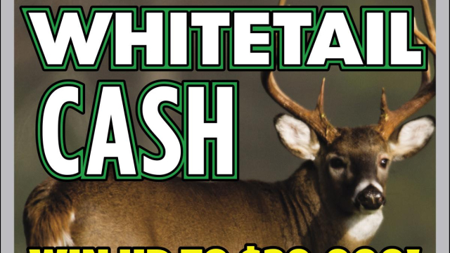 Loto Club во Петропавловске