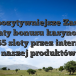 najpozytywniejsze Zasady wypłaty bonusu kasynowego Bet365 sloty przez internet w naszej produktów
