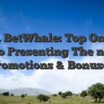 one. BetWhale: Top Online casino Presenting The newest Promotions & Bonuses