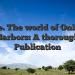 one. The world of Online Harbors: A thorough Publication