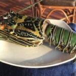 Play Spielen Sie Sugar Trail online Now!