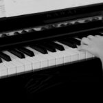 R500 100 percent free Zero-put Additional Laws 2025 What Local casino has got the five hundred ZAR A lot more in to the South Africa?