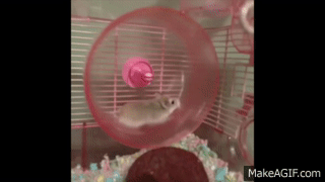 Spinrise Spielsaal Land das dichter und denker Bestes Erreichbar Kasino 2025